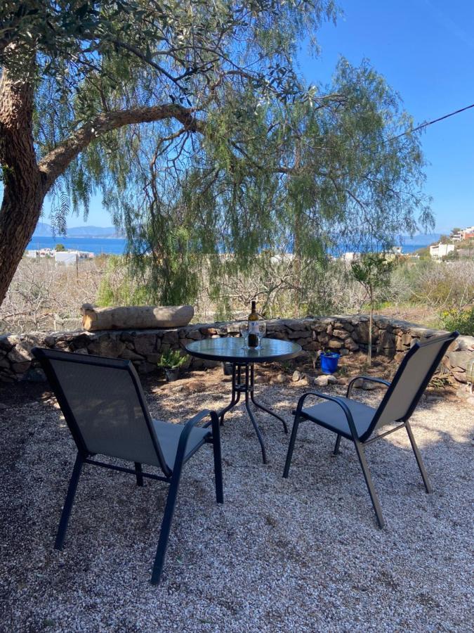 Aegina Pepper Tree 아파트 외부 사진